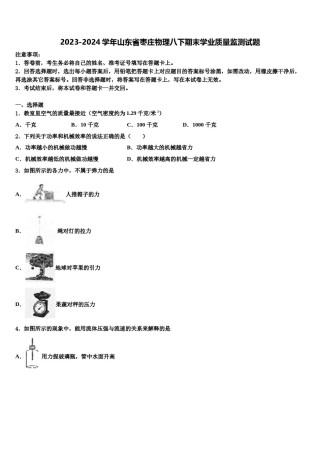 2023-2024学年山东省枣庄物理八下期末学业质量监测试题含解析.doc