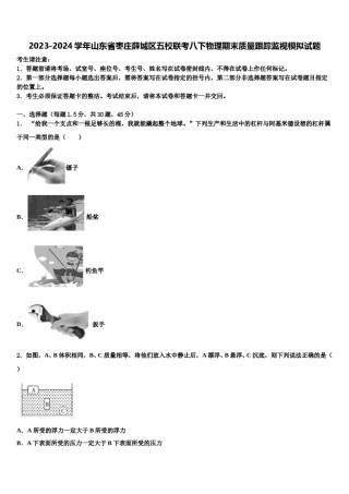 2023-2024学年山东省枣庄薛城区五校联考八下物理期末质量跟踪监视模拟试题含解析.doc