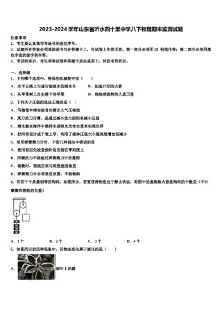 2023-2024学年山东省沂水四十里中学八下物理期末监测试题含解析.doc