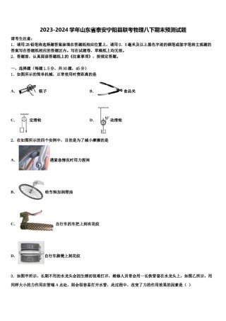 2023-2024学年山东省泰安宁阳县联考物理八下期末预测试题含解析.doc