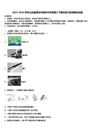 2023-2024学年山东省泰安市南关中学物理八下期末复习检测模拟试题含解析.doc