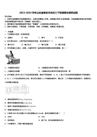 2023-2024学年山东省泰安市名校八下物理期末调研试题含解析.doc