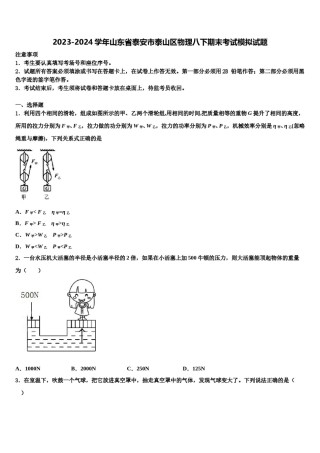 2023-2024学年山东省泰安市泰山区物理八下期末考试模拟试题含解析.doc
