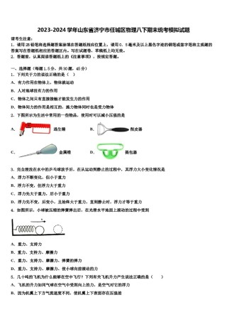 2023-2024学年山东省济宁市任城区物理八下期末统考模拟试题含解析.doc
