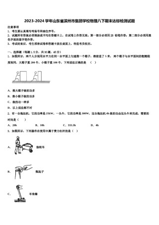 2023-2024学年山东省滨州市集团学校物理八下期末达标检测试题含解析.doc