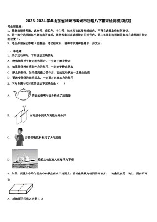 2023-2024学年山东省潍坊市寿光市物理八下期末检测模拟试题含解析.doc