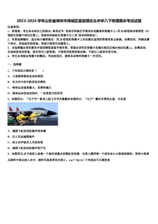 2023-2024学年山东省潍坊市潍城区望留镇庄头中学八下物理期末考试试题含解析.doc