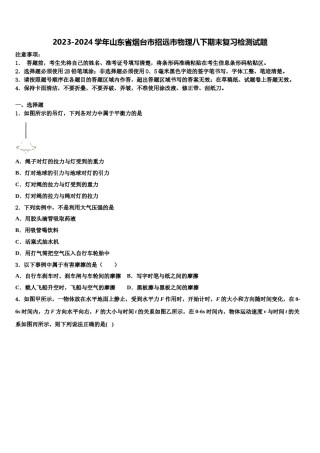 2023-2024学年山东省烟台市招远市物理八下期末复习检测试题含解析.doc