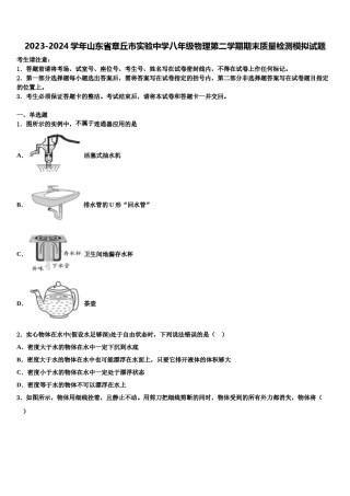 2023-2024学年山东省章丘市实验中学八年级物理第二学期期末质量检测模拟试题含解析.doc