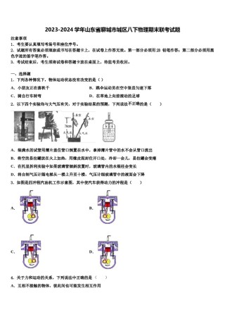 2023-2024学年山东省聊城市城区八下物理期末联考试题含解析.doc
