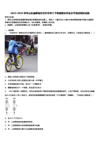 2023-2024学年山东省聊城市文轩中学八下物理期末学业水平测试模拟试题含解析.doc