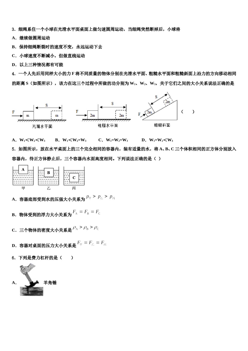 2023-2024学年山东省聊城市文轩中学八下物理期末预测试题含解析.doc_第2页