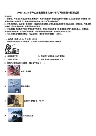 2023-2024学年山东省聊城市文轩中学八下物理期末预测试题含解析.doc