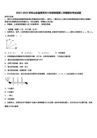 2023-2024学年山东省莱芜市八年级物理第二学期期末考试试题含解析.doc