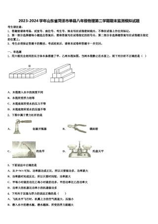 2023-2024学年山东省菏泽市单县八年级物理第二学期期末监测模拟试题含解析.doc