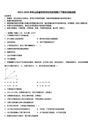 2023-2024学年山东省菏泽市牡丹区物理八下期末经典试题含解析.doc