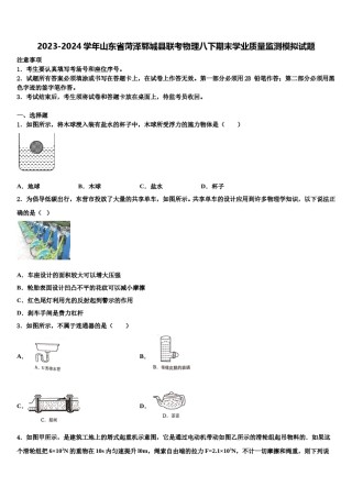 2023-2024学年山东省菏泽郓城县联考物理八下期末学业质量监测模拟试题含解析.doc