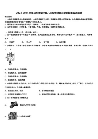 2023-2024学年山东省邹平县八年级物理第二学期期末监测试题含解析.doc