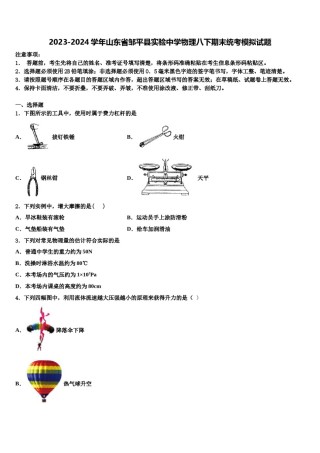 2023-2024学年山东省邹平县实验中学物理八下期末统考模拟试题含解析.doc