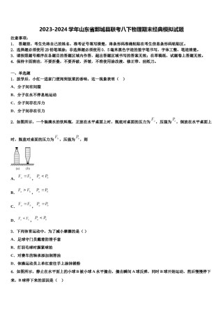 2023-2024学年山东省鄄城县联考八下物理期末经典模拟试题含解析.doc