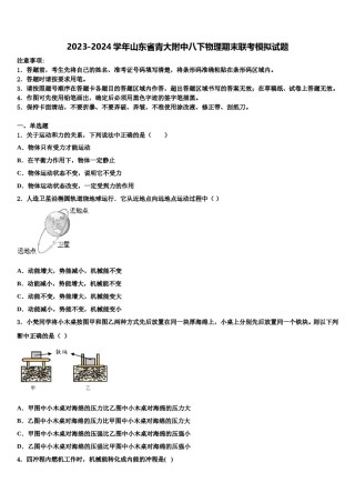 2023-2024学年山东省青大附中八下物理期末联考模拟试题含解析.doc