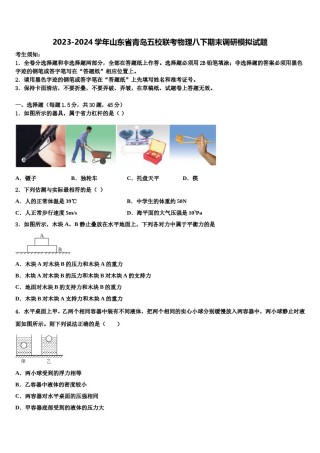 2023-2024学年山东省青岛五校联考物理八下期末调研模拟试题含解析.doc