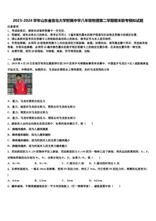 2023-2024学年山东省青岛大学附属中学八年级物理第二学期期末联考模拟试题含解析.doc