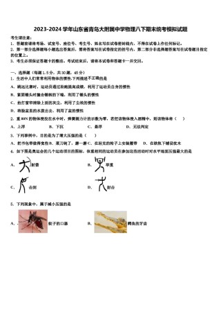 2023-2024学年山东省青岛大附属中学物理八下期末统考模拟试题含解析.doc