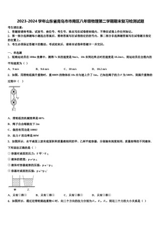 2023-2024学年山东省青岛市市南区八年级物理第二学期期末复习检测试题含解析.doc