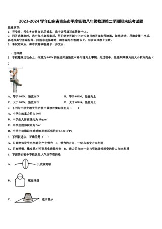 2023-2024学年山东省青岛市平度实验八年级物理第二学期期末统考试题含解析.doc