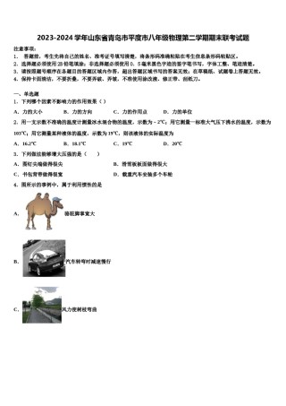 2023-2024学年山东省青岛市平度市八年级物理第二学期期末联考试题含解析.doc