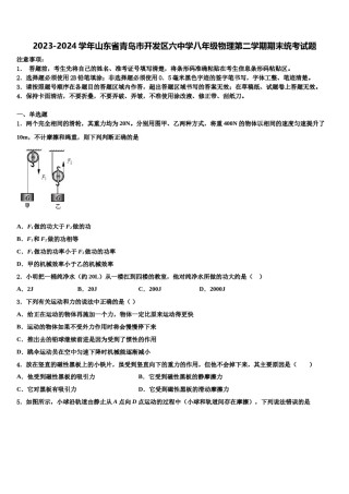 2023-2024学年山东省青岛市开发区六中学八年级物理第二学期期末统考试题含解析.doc