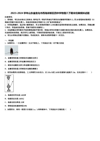 2023-2024学年山东省青岛市西海岸新区四中学物理八下期末经典模拟试题含解析.doc