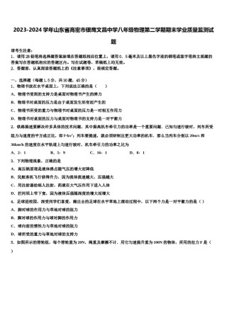 2023-2024学年山东省高密市银鹰文昌中学八年级物理第二学期期末学业质量监测试题含解析.doc
