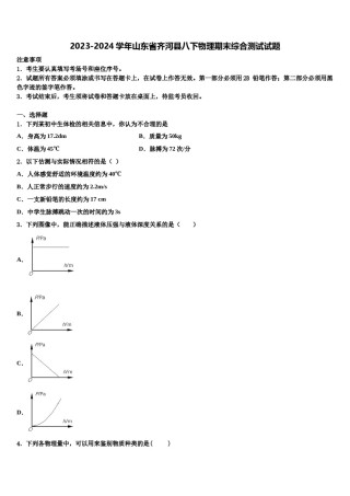 2023-2024学年山东省齐河县八下物理期末综合测试试题含解析.doc