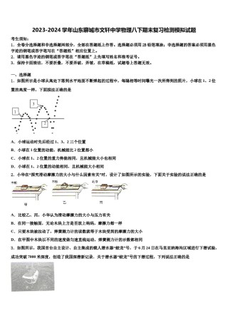 2023-2024学年山东聊城市文轩中学物理八下期末复习检测模拟试题含解析.doc