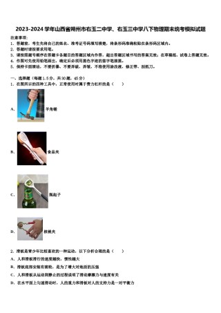 2023-2024学年山西省朔州市右玉二中学、右玉三中学八下物理期末统考模拟试题含解析.doc