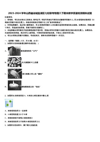 2023-2024学年山西省运城盐湖区七校联考物理八下期末教学质量检测模拟试题含解析.doc