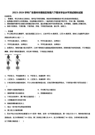 2023-2024学年广东惠州市惠阳区物理八下期末学业水平测试模拟试题含解析.doc