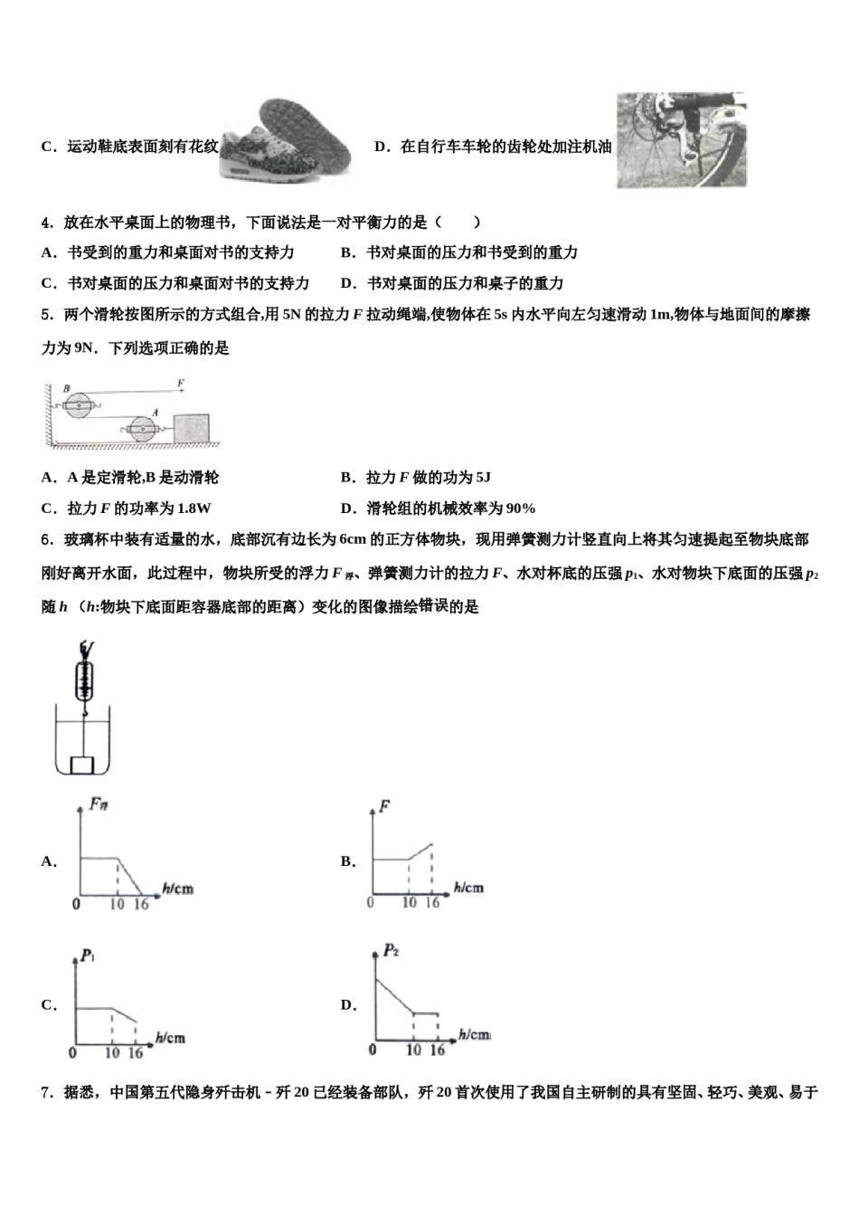 2023-2024学年广东省东莞市中学堂镇六校八年级物理第二学期期末达标检测试题含解析.doc_第2页