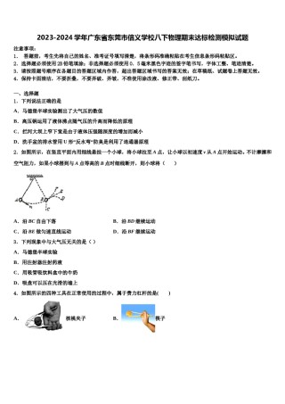 2023-2024学年广东省东莞市信义学校八下物理期末达标检测模拟试题含解析.doc