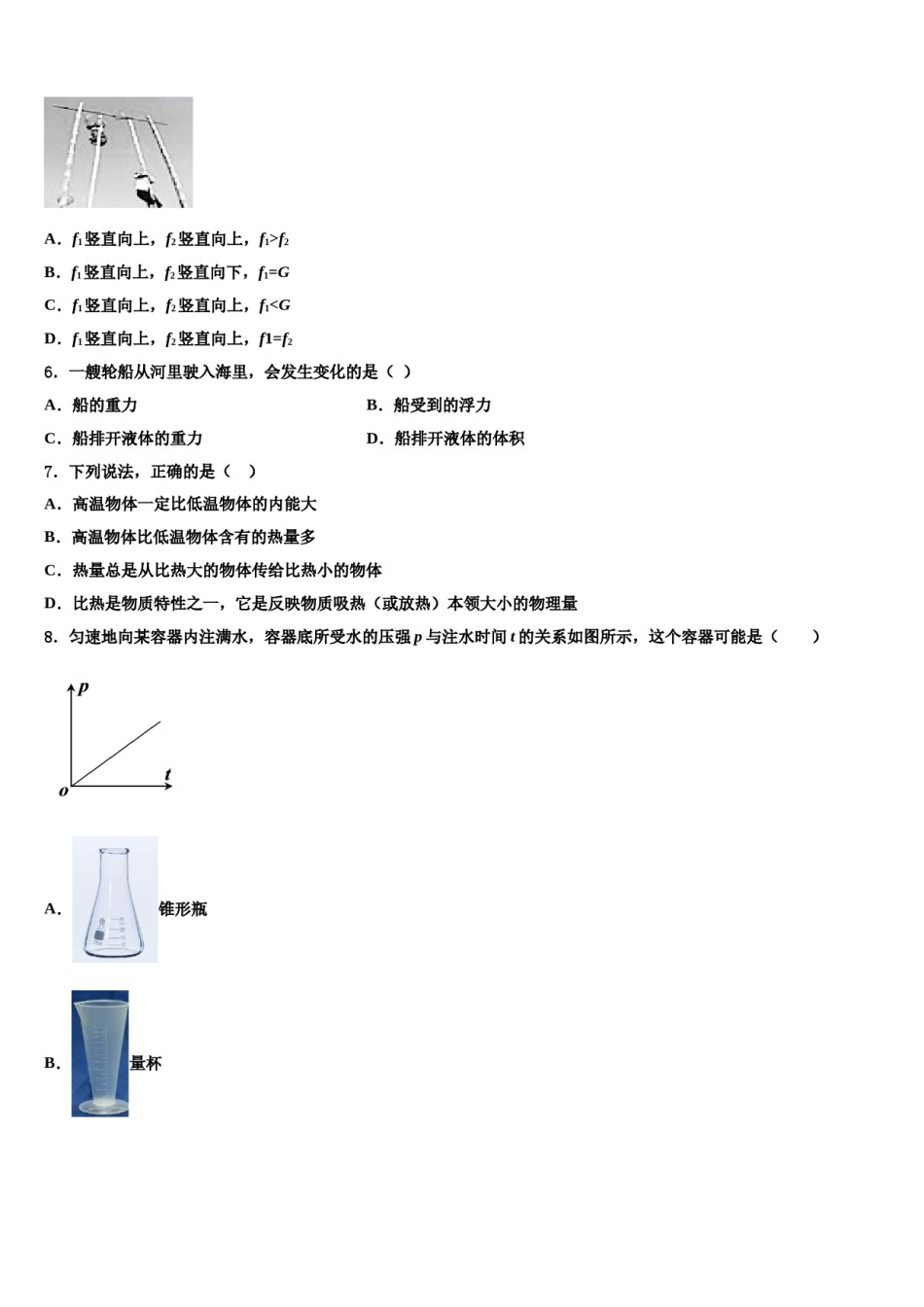 2023-2024学年广东省华师附中实验学校八下物理期末学业水平测试模拟试题含解析.doc_第2页