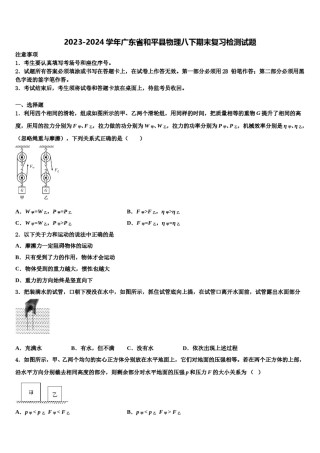 2023-2024学年广东省和平县物理八下期末复习检测试题含解析.doc