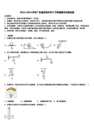 2023-2024学年广东省实验中学八下物理期末经典试题含解析.doc