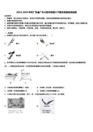2023-2024学年广东省广外大附中物理八下期末质量检测试题含解析.doc