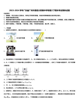 2023-2024学年广东省广州外国语大附属中学物理八下期末考试模拟试题含解析.doc