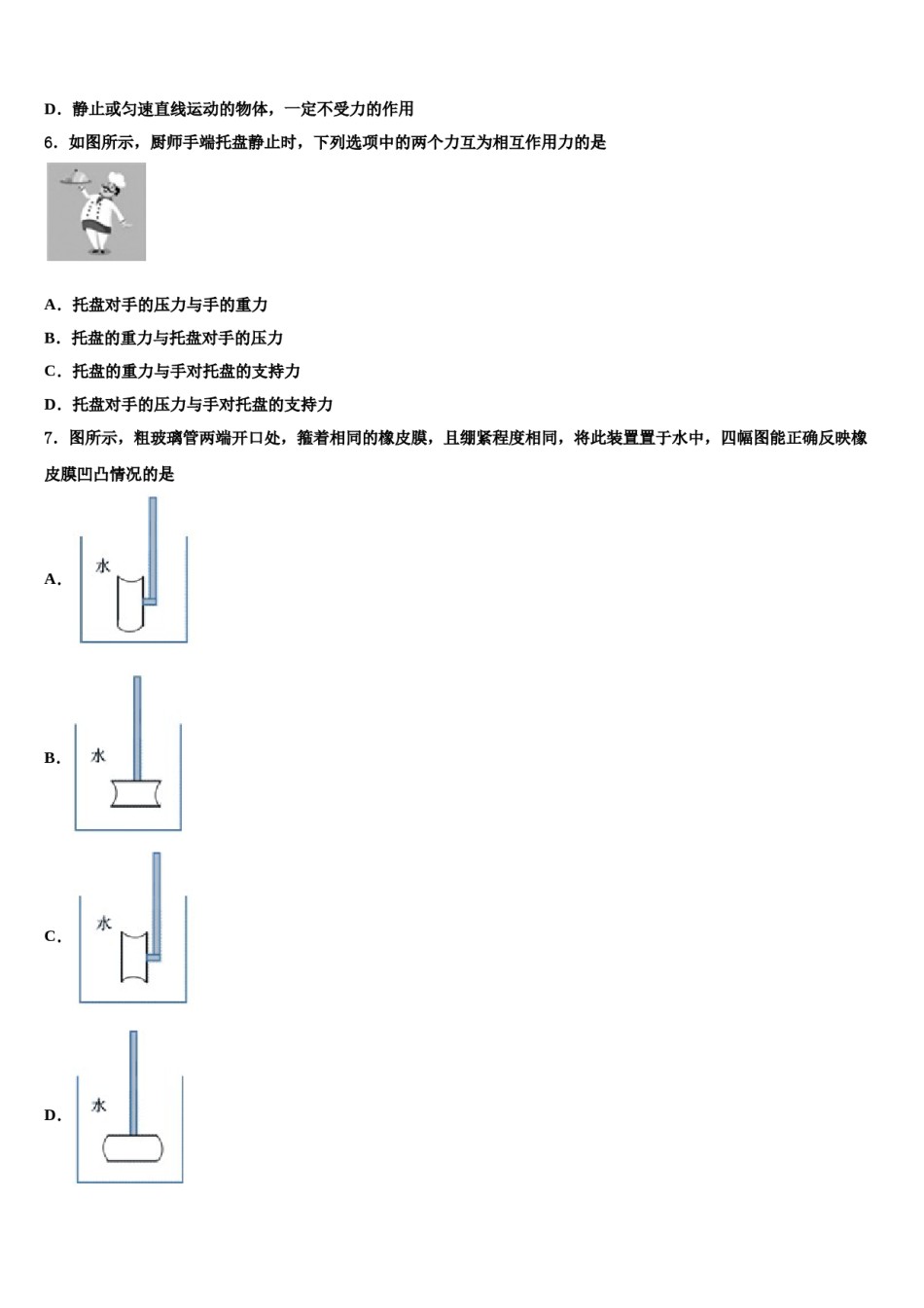 2023-2024学年广东省广州大附中物理八下期末统考模拟试题含解析.doc_第2页