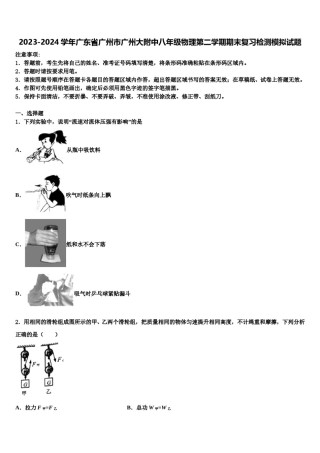2023-2024学年广东省广州市广州大附中八年级物理第二学期期末复习检测模拟试题含解析.doc