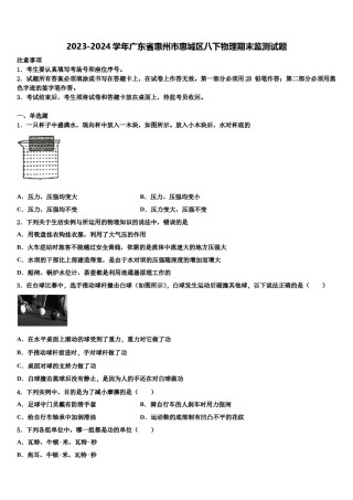 2023-2024学年广东省惠州市惠城区八下物理期末监测试题含解析.doc
