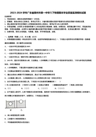 2023-2024学年广东省惠州市第一中学八下物理期末学业质量监测模拟试题含解析.doc